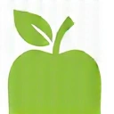 Icon representing healthy food